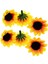 Человеческие ЦВЕТЫ,200 Adet Yapay Ayçiçeği Küçük Papatya Gerbera Çiçek Düğün Dekor Için Başları (Sarı ve Kahve) (Yurt Dışından) 1