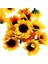 Человеческие ЦВЕТЫ,200 Adet Yapay Ayçiçeği Küçük Papatya Gerbera Çiçek Düğün Dekor Için Başları (Sarı ve Kahve) (Yurt Dışından) 5