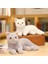Kedi Bebek Yalan Kedi Bebek Yalan Kedi Peluş Oyuncak Bebek Ev Dekorasyonu (300MM) (Yurt Dışından) 4