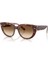 Rb 2286 141451 52 Ray-Ban Doreen Kadın Güneş Gözlüğü 1