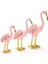 Swaroski 3'lü Flamingo ALK2069 1