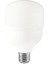 Ct-4330 LED Ampul Bulb 25W 1