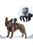 / Gopro Pet Mount 1