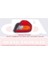 510629 Stop Lambası Sol Accent Milenyum 00 02 Duysuz 92401-25000 1