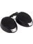 SH-010 350WATT Oto Tweeter 1