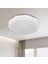 50W Büyük Boy LED Armatür Glop Diamod Avize Tavana Sıfır Plofenyer Yüksek Işık Salon Oturma Odası 3