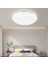 50W Büyük Boy 8gen Tasarım Modern LED Plofenyer Tavana Sıfır Avize Aplik Lamba Armatür Beyaz Işık 1