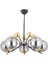 Beste 5 Li Modern (Siyah Gold) Füme Glop Camlı Salon Yatak Odası Mutfak Genç Odası Avize 2