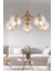 Germaine 5'li Yuvarlak Eskitme Bal Camlı Modern Oturma Odası Salon Avize 1