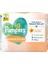 Pampers Islak Havlu Protect& Care 4lü 1
