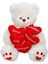 Friends Peluş Ayi Oturan 5 Kalpli Aşk Mesajli Yastik 45CM.2R. 1