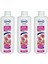 Hoş Kokulu Genel Temizlik 3 Adet X 1000 Ml 1