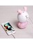 USB Aroma Esansiyel Yağ Difüzörü Ultrasonik Soğuk Sis Tavşan Nemlendirici Hava Temizleyici LED Gece Lambası Ofis Ev Hediyesi-Pembe (Yurt Dışından) 4