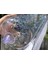 Pvc Transparent Water Lounge Chair, Foldable And Inflatable (Yurt Dışından) 4