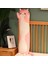 Sevimli Yumuşak Uzun Kedi Yastık Peluş Doğum Günü Hediyesi 50 cm 1