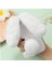 Oppo Oppo 11 F 5g Tavşan Furprotection Plushcase Sonbahar ve (Yurt Dışından) 1