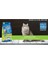 Pets Clean Kedi Kumu Sabun Kokulu 5 Lt * 4 Adet 4