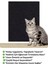Yapışkanlı Koltuk Kenarı Koruyucu Kedi Tırmalama Halısı Kedi Tırnak Bakım Halısı (50 cm x 100 cm) 2