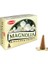 Magnolia Cones - EMY3575-6282 1