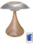 Lw-31 Wood Grain Abajur Karistal Elmas Masa Lambası Romantik Akrilik LED Gece Lambası 1