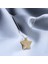 Silver Zincir Gold Taşlı Yıldız Çelik Kolye 1