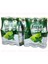 Premium Cool Lime Limonlu Nane Aromalı Maden Suyu 250 ml x 24 Adet 4