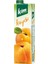 Meyve Suyu Kayısı 1 lt x 6 Adet 2