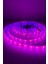 12 Volt Grow (Full Spectrum) Şerit LED IP65 Dış Mekan Silikonlu Bitki Yetiştirme Ledi 5 Metre 5