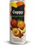 Bahçe Karışık Meyve Nektarı 330 ml 1