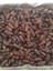 Toptan Medine B Kalite Mebrum Hurma 10KG 1
