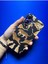 Iphone 11 Ile Uyumlu Içi Kadife Lansman Kılıf 1