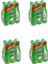 Frutti Extra Armutlu 250 ml x 24 Adet 1