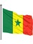 Senegal Gönder Bayrağı 50 x 75 cm 1