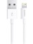 Sync Charge 8pin 1.2 Metre CABL120WH 1