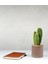 Beton Saksı - 12,5 cm Çap, Modern ve Minimalist Tasarım, Dayanıklı ve Dekoratif 4