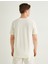 Basic Tişört Slim Fit Bisiklet Yaka Kısa Kollu 4