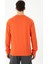 Sport Erkek Sweatshirt 4