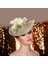 Fascinator Ş Kadın Kız Çay Partisi Düğün (Yurt Dışından) 3