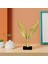 / I Heykeli Heykelcik Reçine El Sanatları Feng Shui (Yurt Dışından) 2