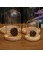 Minyatür Peyzaj Süslemeleri Mini Dome Ğı 15 x 25CM (Yurt Dışından) 3