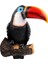 Toucan Model Ev Kitaplık Avlu Askılı Oyuncaklar Kız Için 2 (Yurt Dışından) 1