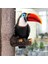 Toucan Model Ev Kitaplık Avlu Askılı Oyuncaklar Kız Için 2 (Yurt Dışından) 2