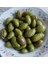 Çekişte Zeytin Fidanı 2