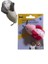 Kediler İçin Fare Oyuncağı 7.5 cm 1