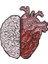 No.3 Boyutu Insan Beyin Organ Broş Yarı Beyin ve Kalp Emaye Rozet Pin Broş Tıbbi Takı Doktor Öğrenci Öğretmen Hediyesi (Yurt Dışından) 1