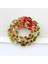 Çok Renkli Stil Kadınlar Için Noel Hediye Takılar Vintage Charm Çelenk Broş Kırmızı Yeşil Taşlar Inci Yapraklar Çiçekler Broş (Yurt Dışından) 3