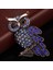 Mavi Stil Vintage Owl Broşları Eşarp Tokaları Taşlı Broşlar (Yurt Dışından) 3