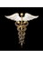 Vintage Caduceu Tıbbi Takı Hediye Doktorhemşiretıp Öğrencisi Asclepius'un Asası Acil Broş (Yurt Dışından) 1