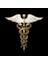 Vintage Caduceu Tıbbi Takı Hediye Doktorhemşiretıp Öğrencisi Asclepius'un Asası Acil Broş (Yurt Dışından) 2