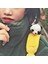 Panda Broşu Baba Ayı Bebek Oyuncak Seti Cartoolush Sevimli Bebek Kumaş Oyuncak (Yurt Dışından) 3
